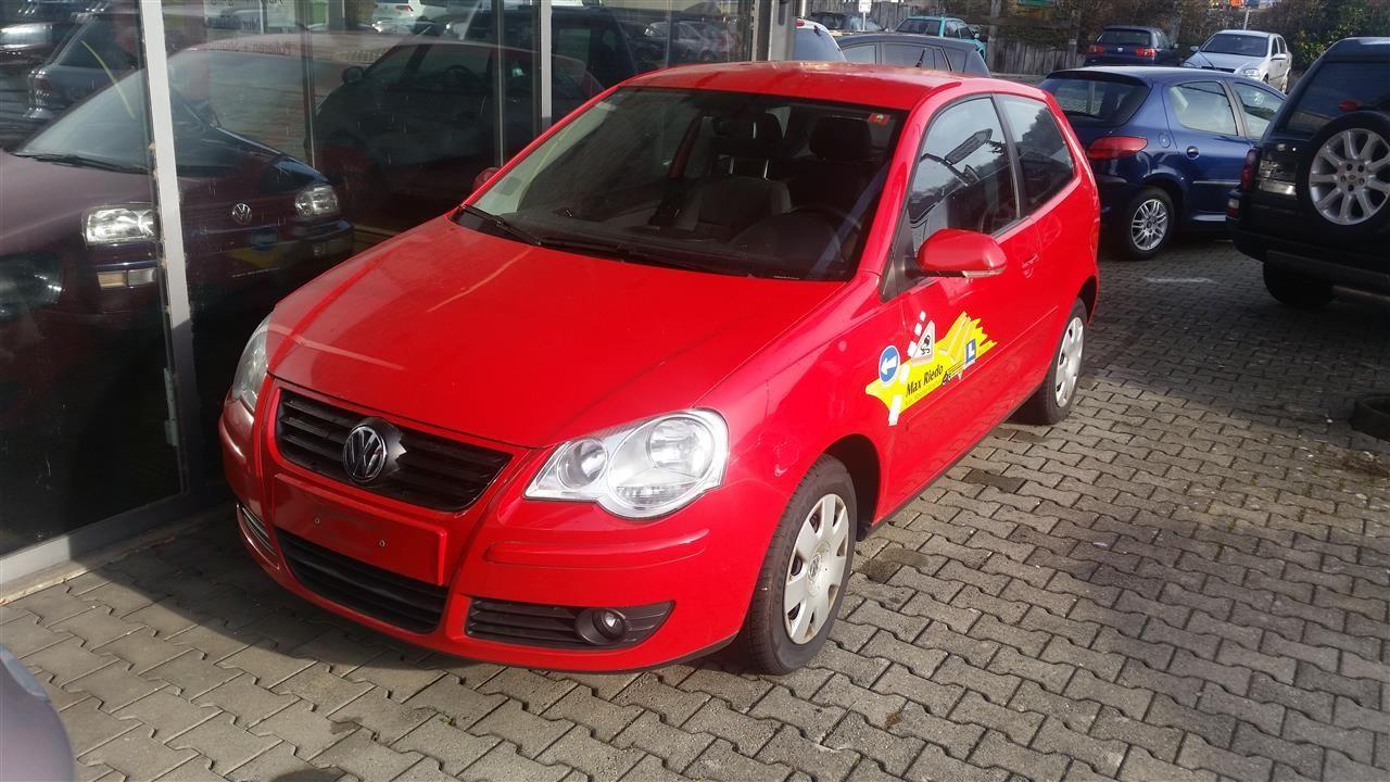 shes-polo