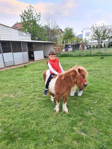 Kali