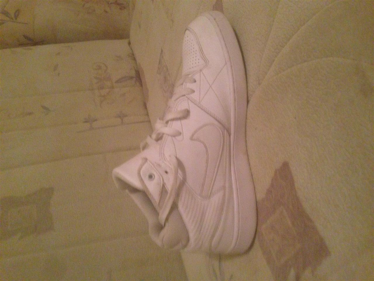 Puma-