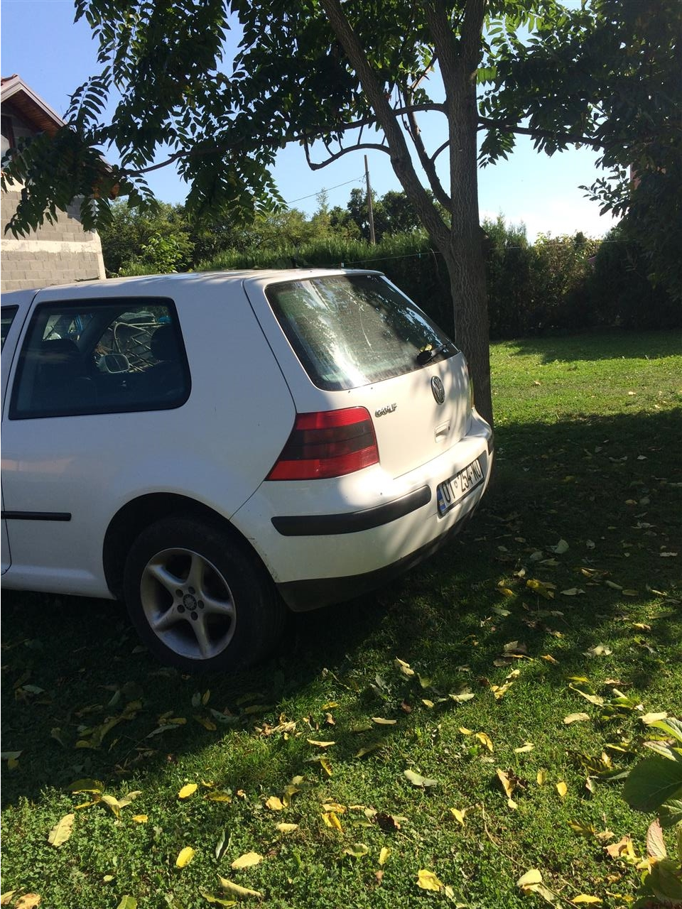 Golf-4