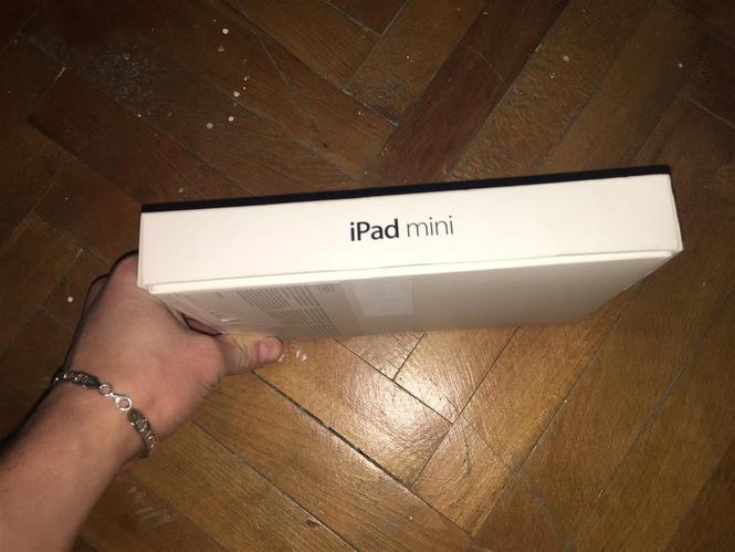 Apple mini ipad