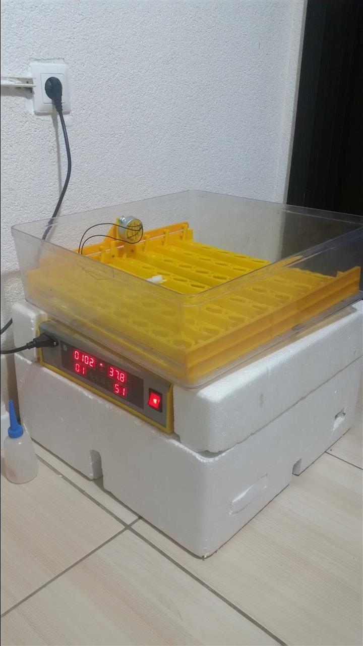 Inkubator-