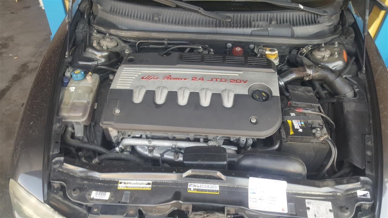 shitet--alfa