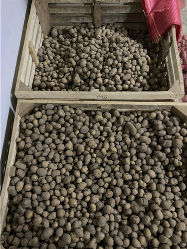 Shitet far e patates 