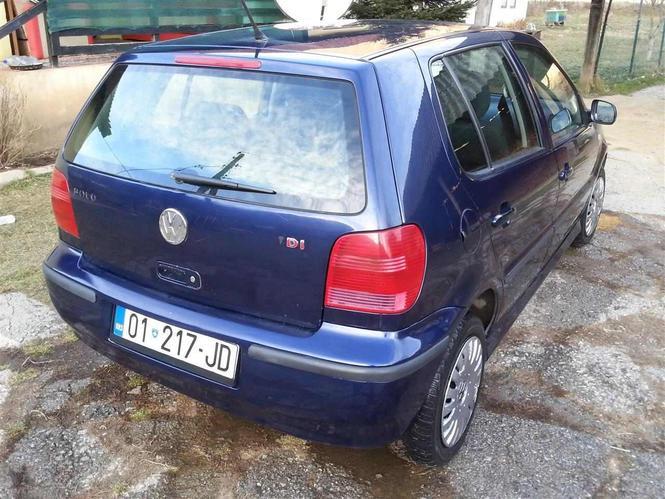 Shitet polo
