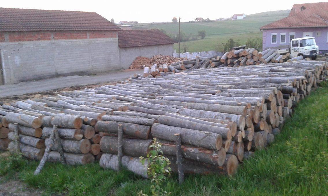Druri--bejme-shitjen-e-druve-