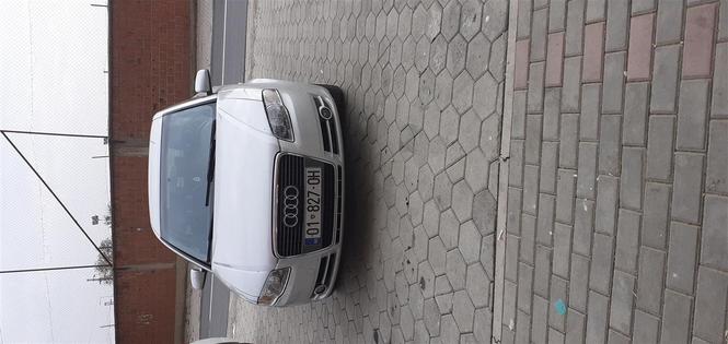 Audii