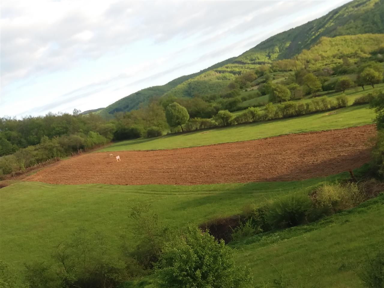 Tokë