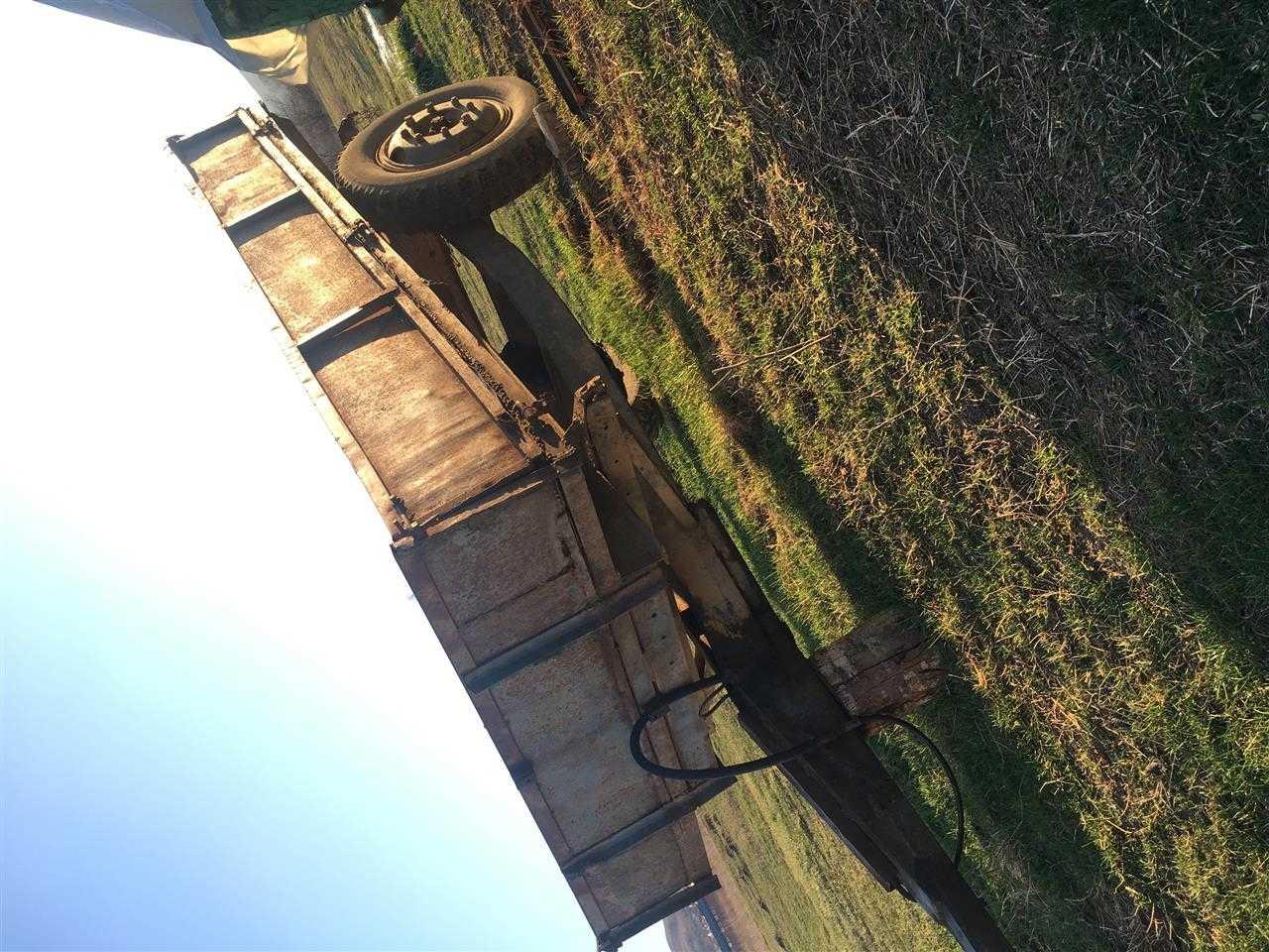 Prokolic