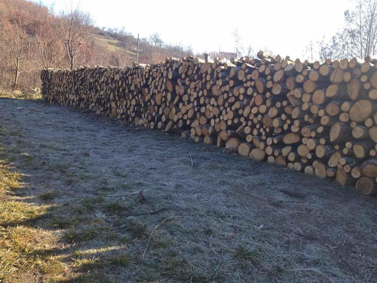 Shiten-Drut-Bung-e-Qarr