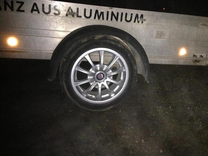 Fellne