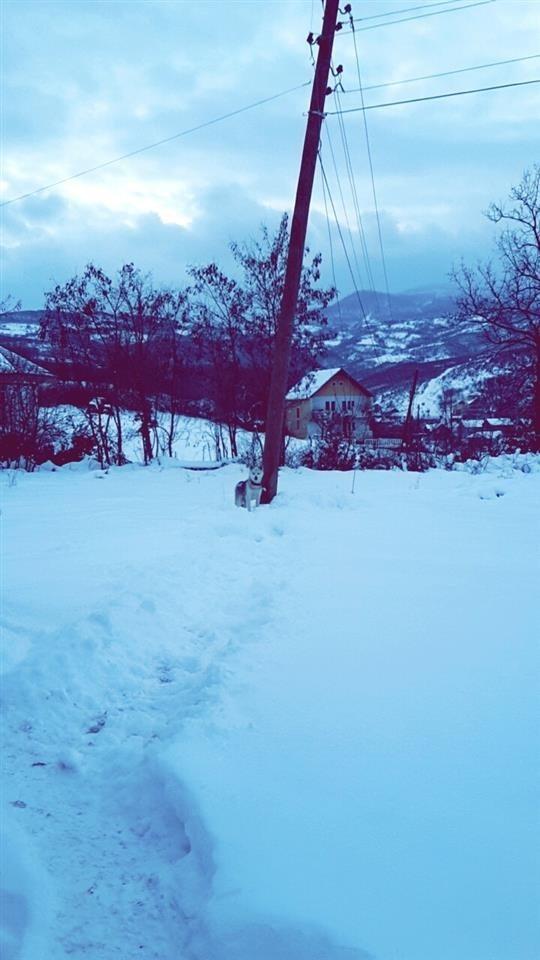 Hasky-