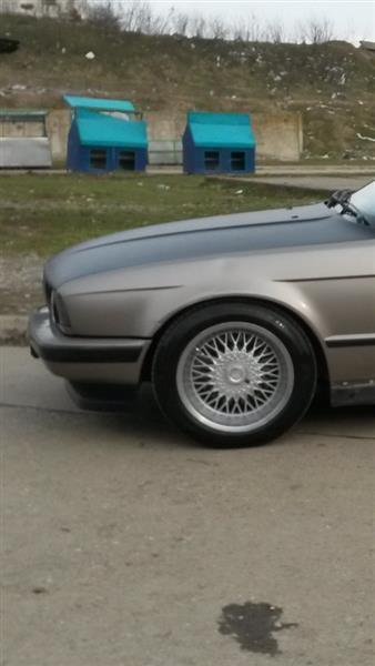 Fellne-Bbs
