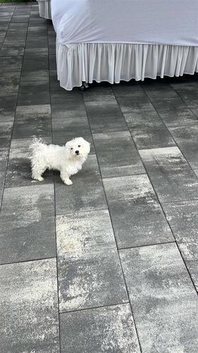 Mini maltezer