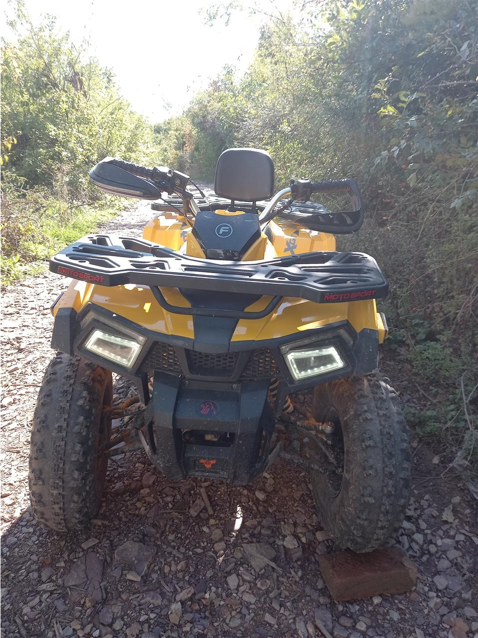 250cc-