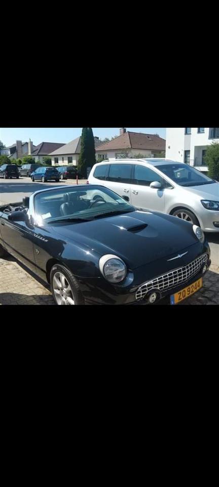Thunderbird-