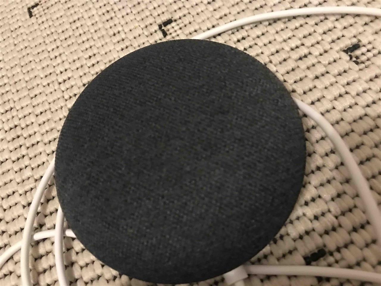 Google-Assistant