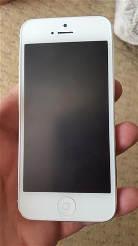 iPhone 5
