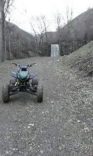 shitet
