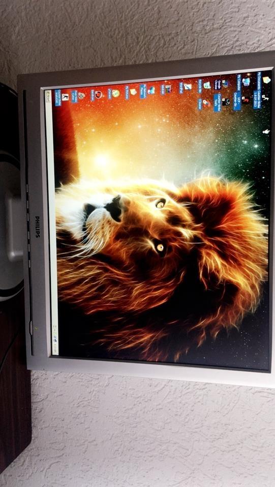 Monitor-Philips