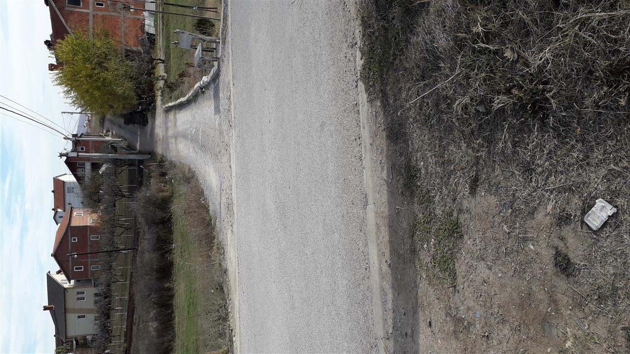 Trolli-në-shitje