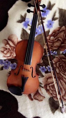 Violin