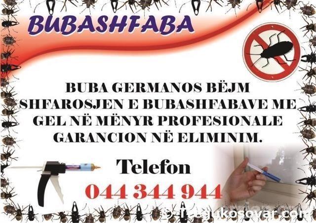 Kompania per shfarosjen e bubashfabave Buba German