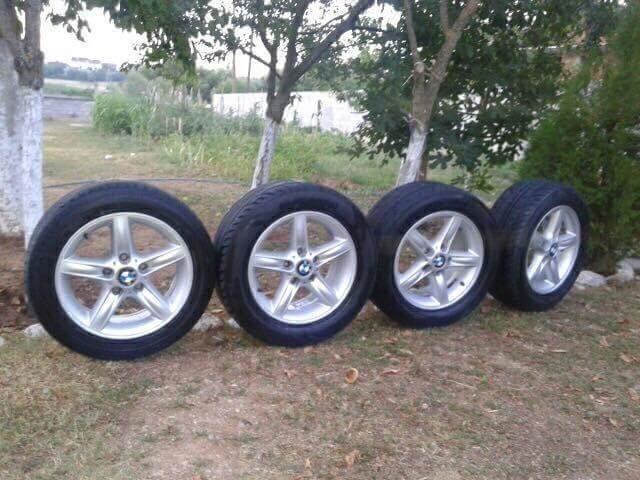 fellne 16coll