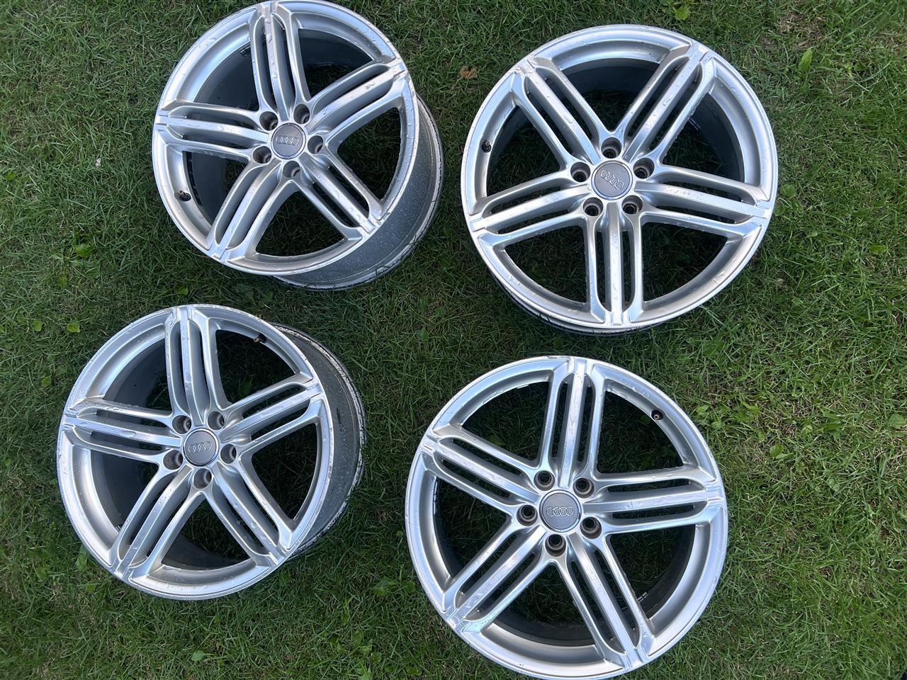 Fellne-19-per-audi