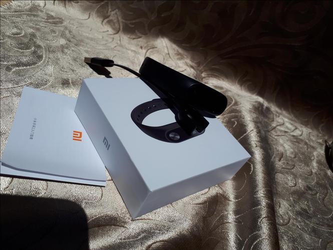 Xiaomi MiBand 2
