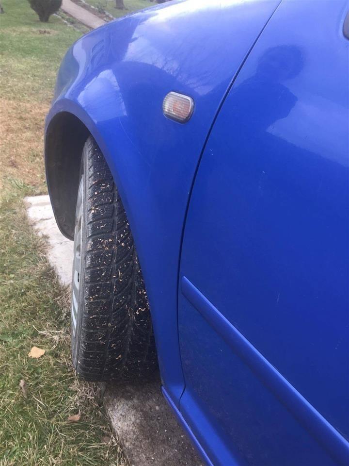 Shitet-Golf-4