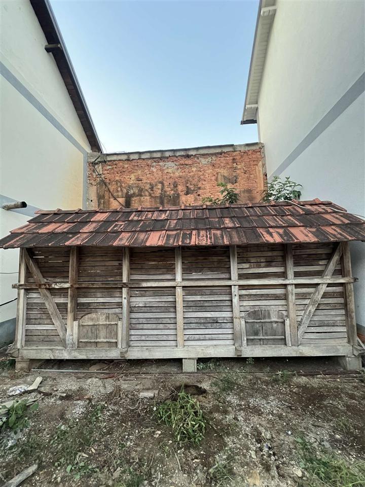 Kosh-dhe-llastera-per-qfardo-nevoje