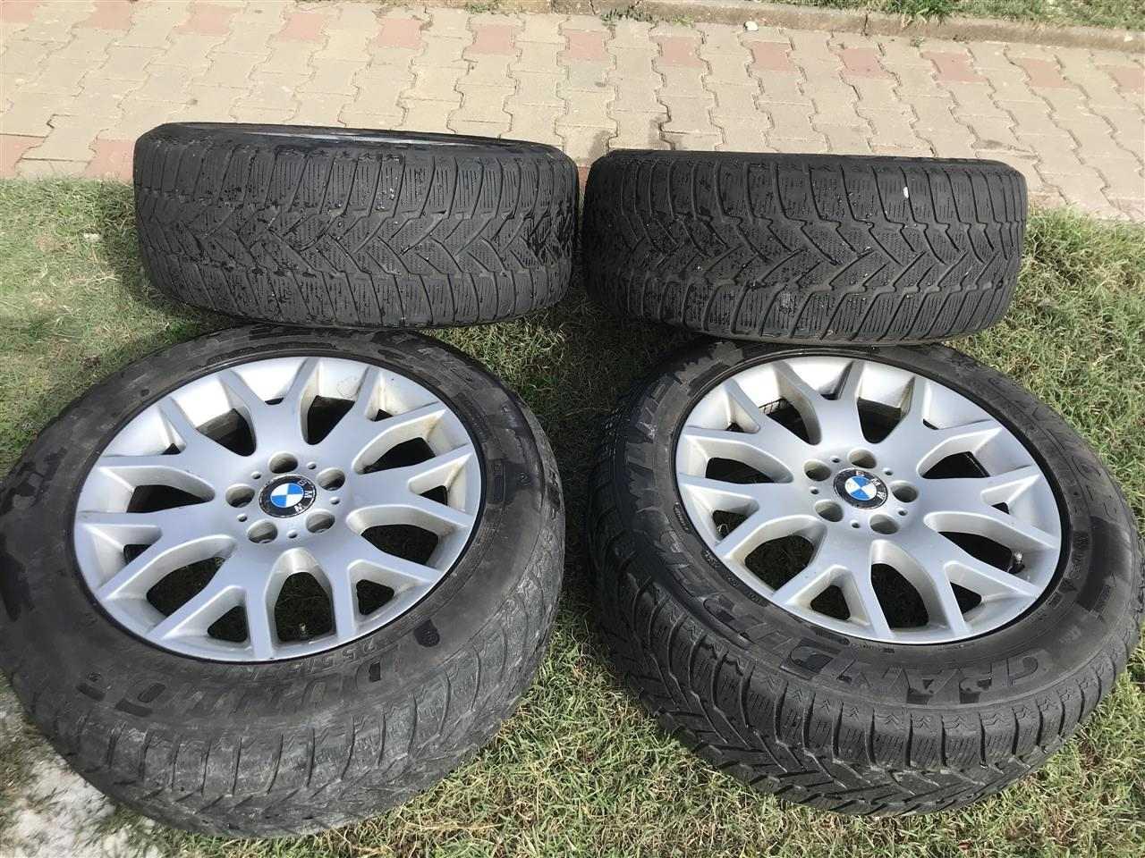 Fellne-per---X6