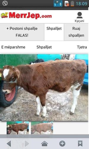 baj bartjen e lopve