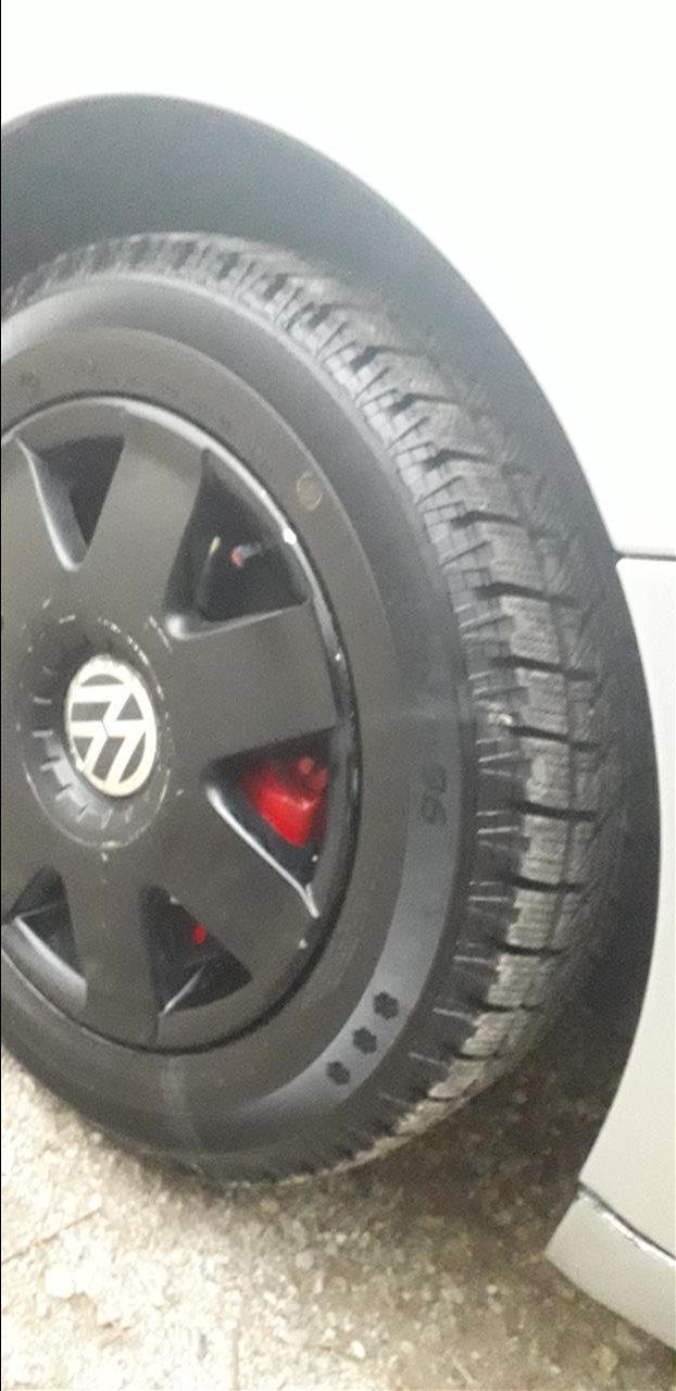 Polo-