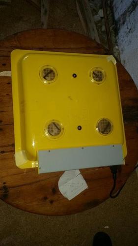 Inkubator