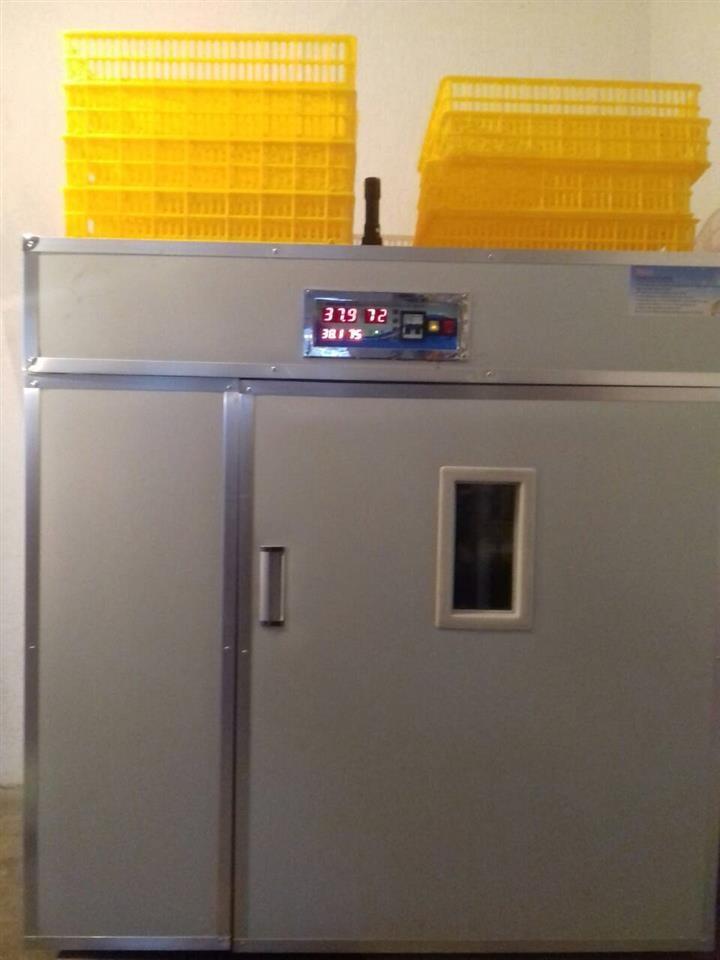 inkubator
