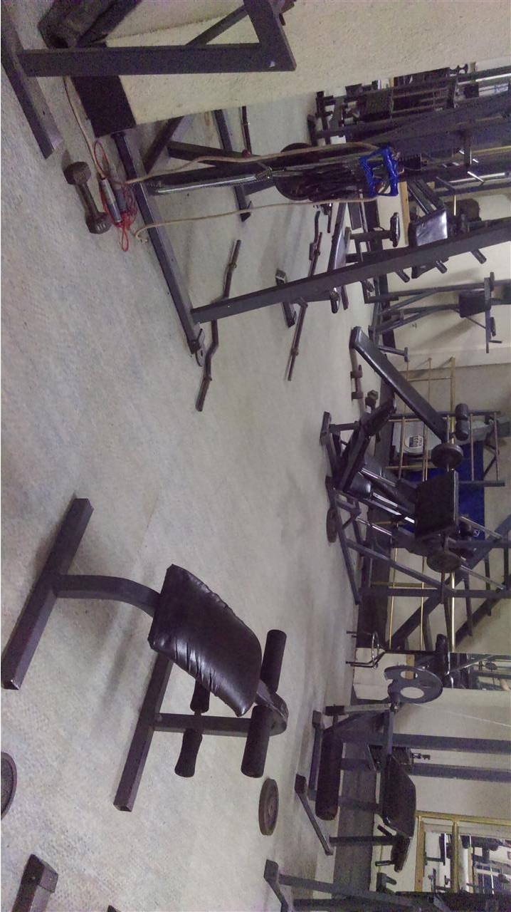 Fitnes