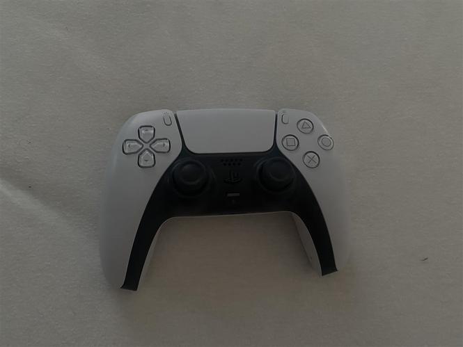 PS5 Controller (Gjendje Perfekte)