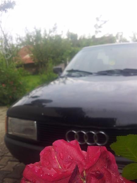Shitet-Audi-80