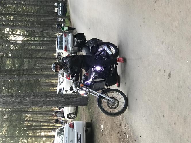 RISI RISI RISI