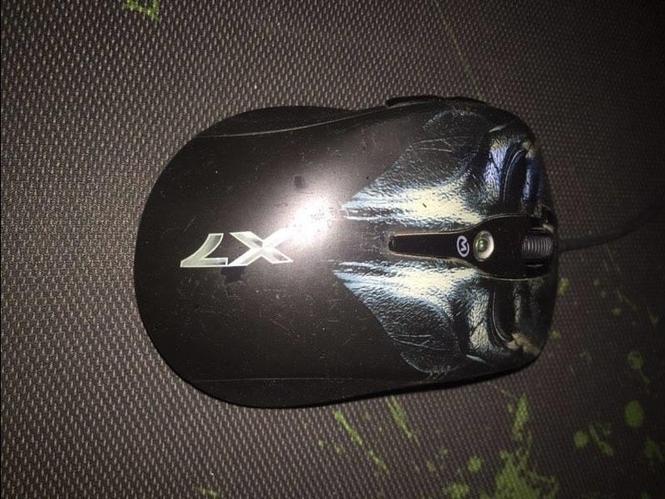 Maus