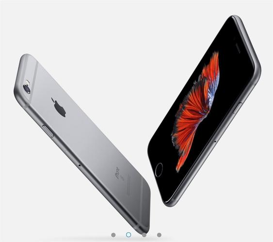 iPhone and Apple Watch