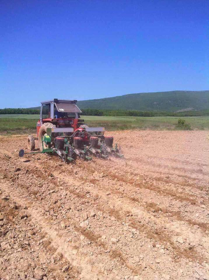 Traktor