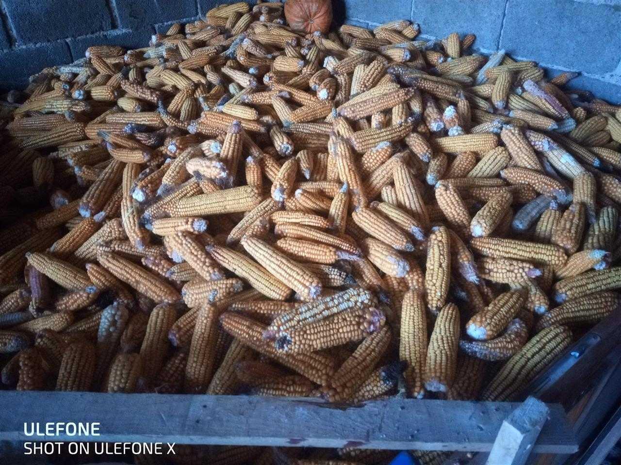 Misër-