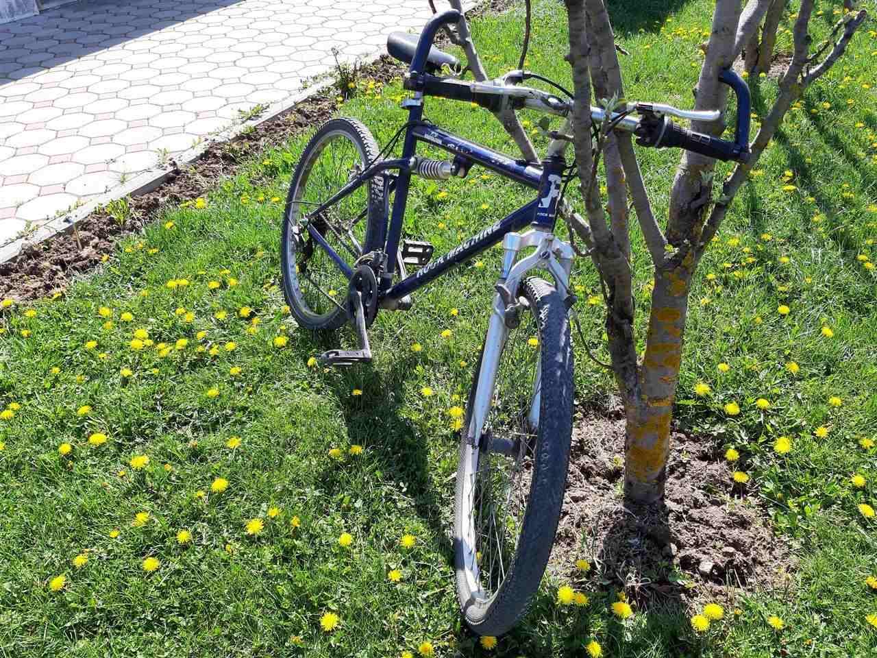 Biçiklet
