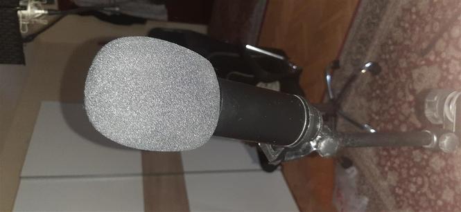 Studio 