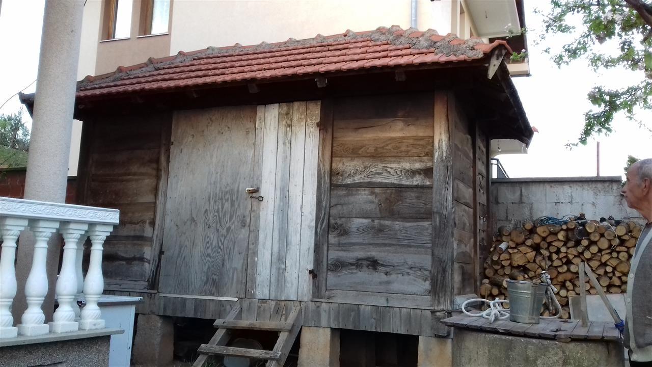Hamar