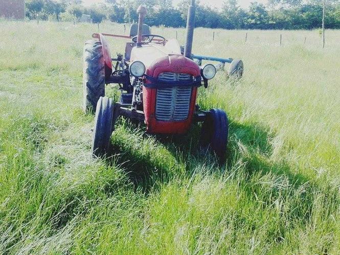 traktor
