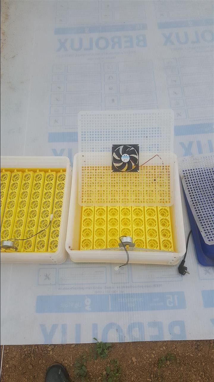 inkubator